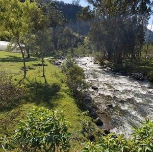 Meet your Posher, Martha